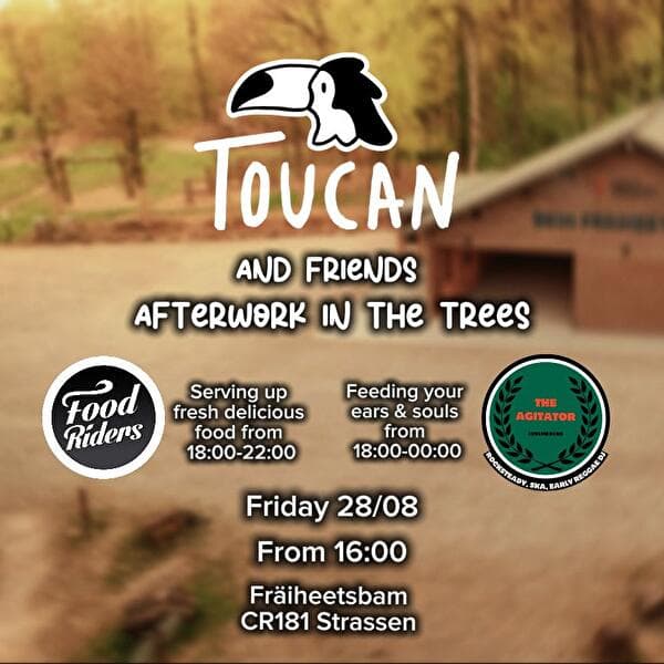 Toucan & Friends Afterwork in the Trees