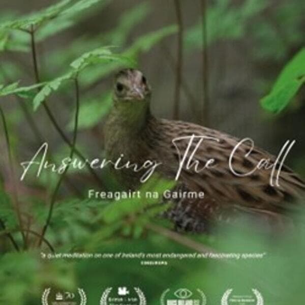 Freagairt na Gairme (Answering the Call) - (BIFFL)