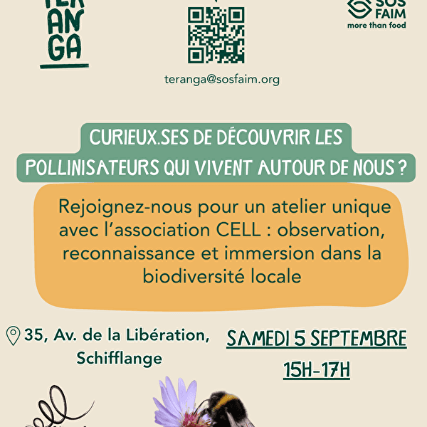Découvrir les pollinisateurs autour de nous by Teranga