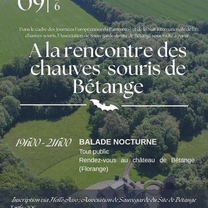 À la découverte des chauves-souris de Bétange