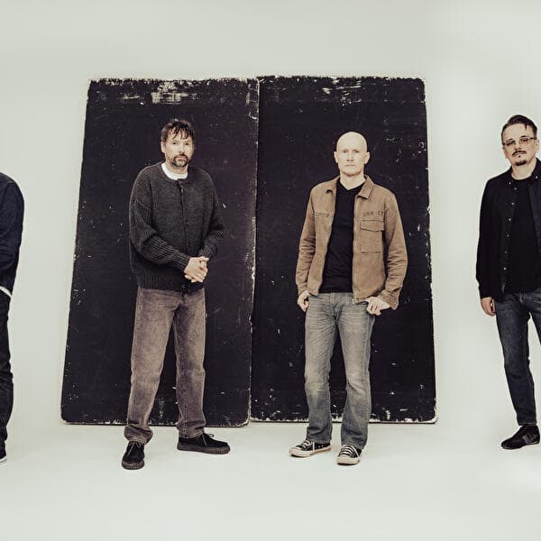 The Pineapple Thief