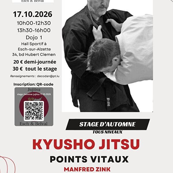 Stage de kyusho jitsu