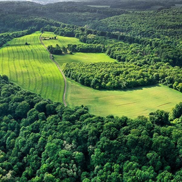 Titelberg Within Reach