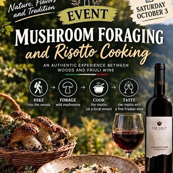 Expérience de cueillette de champignons et de risotto au Luxembourg