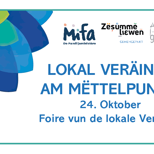 Local Organisations Fair