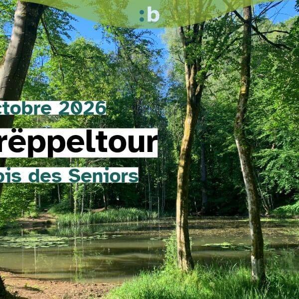 Hike: discover the nature trail through Ellergronn