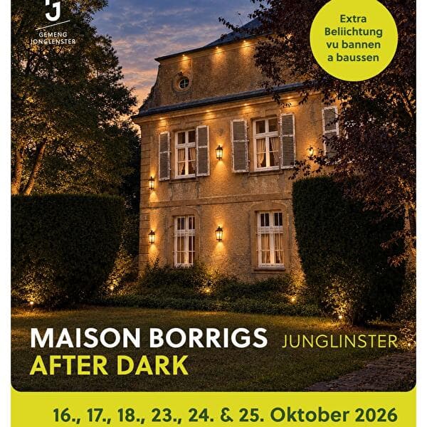 Maison Borrigs - After Dark