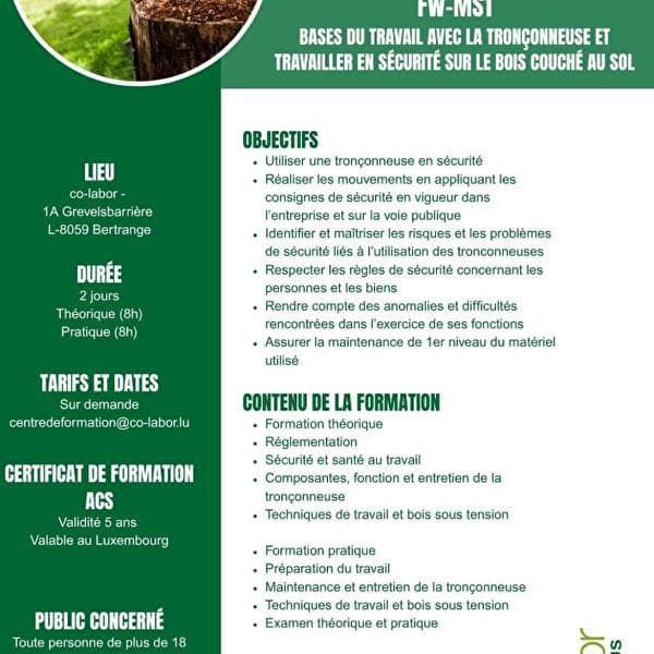 Formation FW-MS1 tronçonneuse