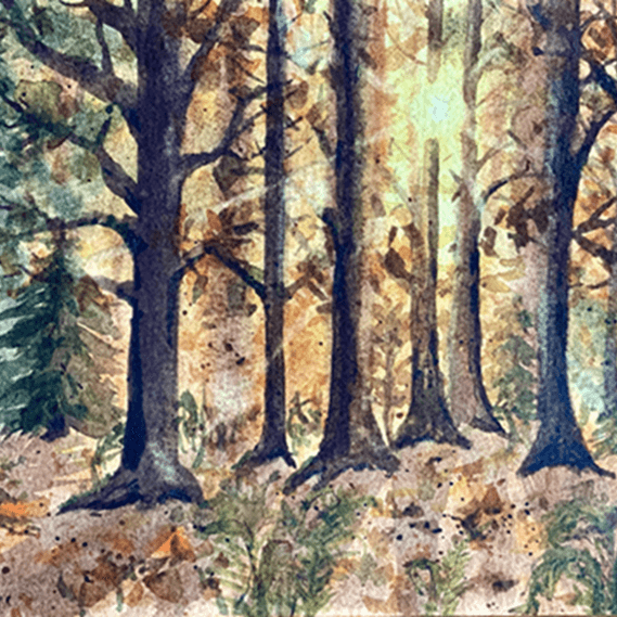 Watercolour Workshop – Autumn Forest