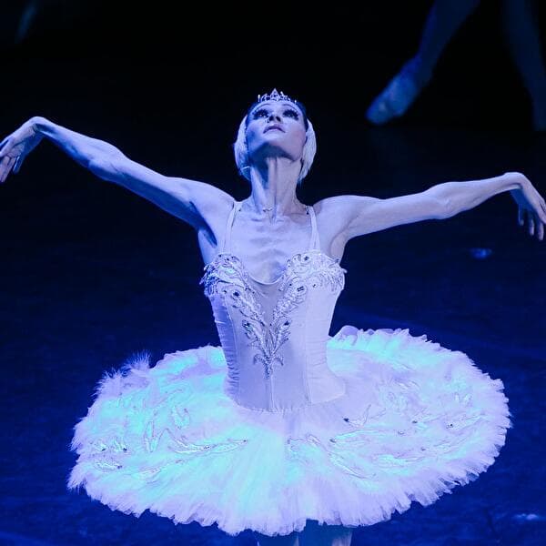Swan Lake