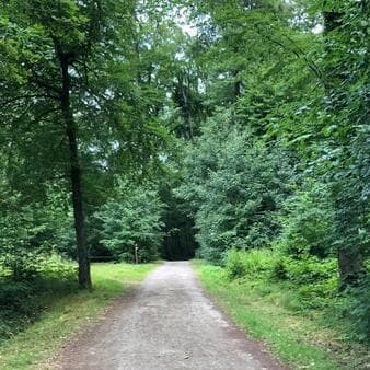 Fast-paced hikes vol. 9: The Bambesch exploration, 5.5–6 km/h, 16 km loop