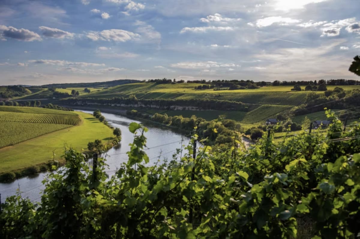 Cycle along the wine route - 3