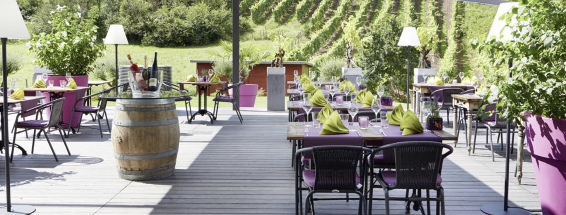 Hôtel-Restaurant de l'Écluse: view over the vineyards and the Moselle - 2