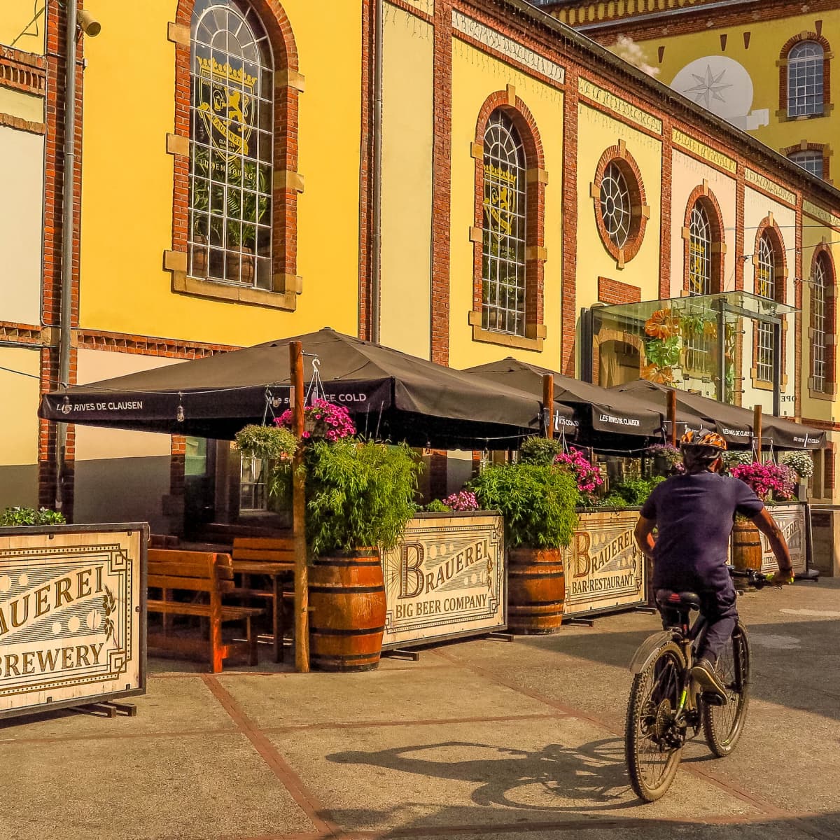 Big Beer Company: the must-visit brewery of the Rives de Clausen - 1
