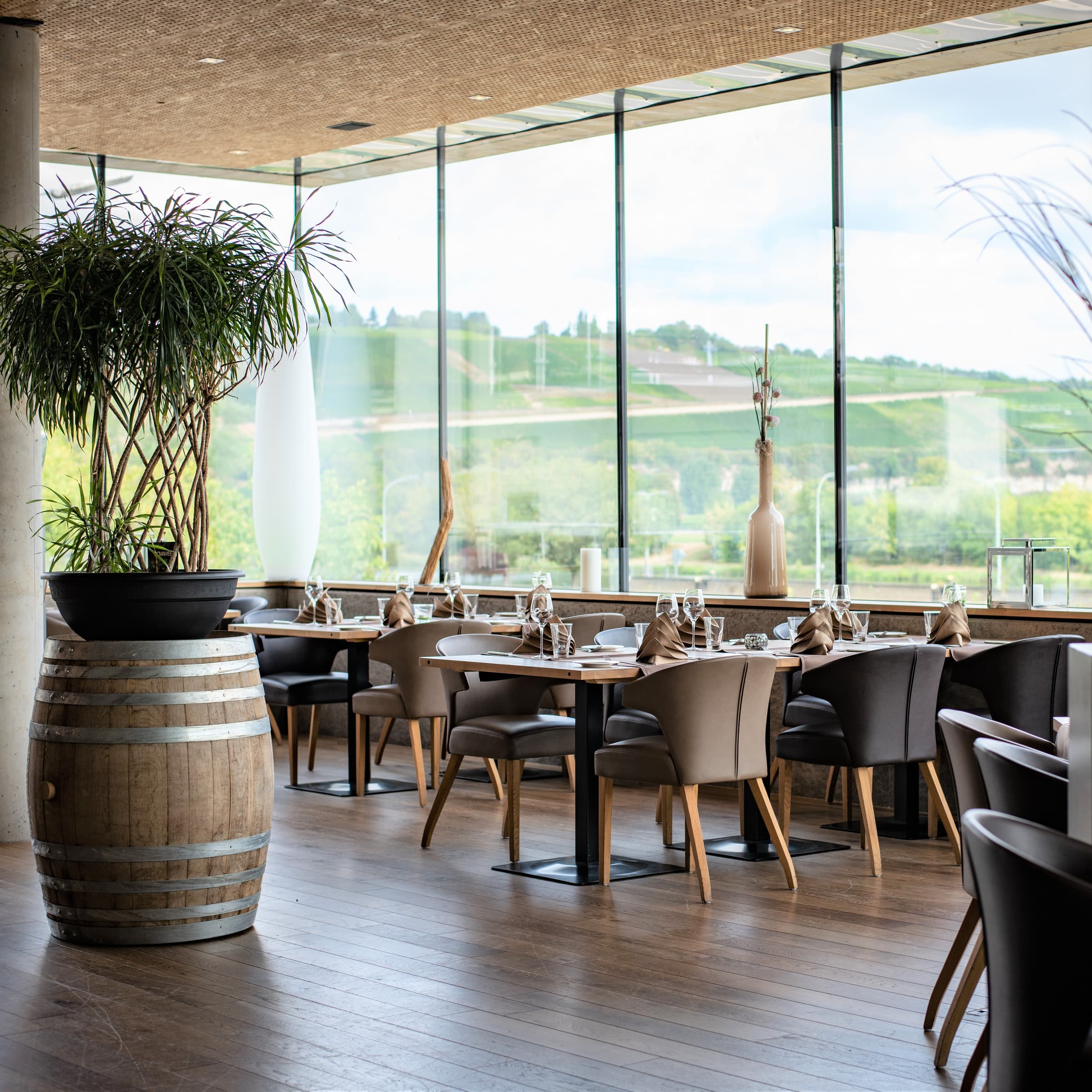 Hôtel-Restaurant de l'Écluse: view over the vineyards and the Moselle - 1