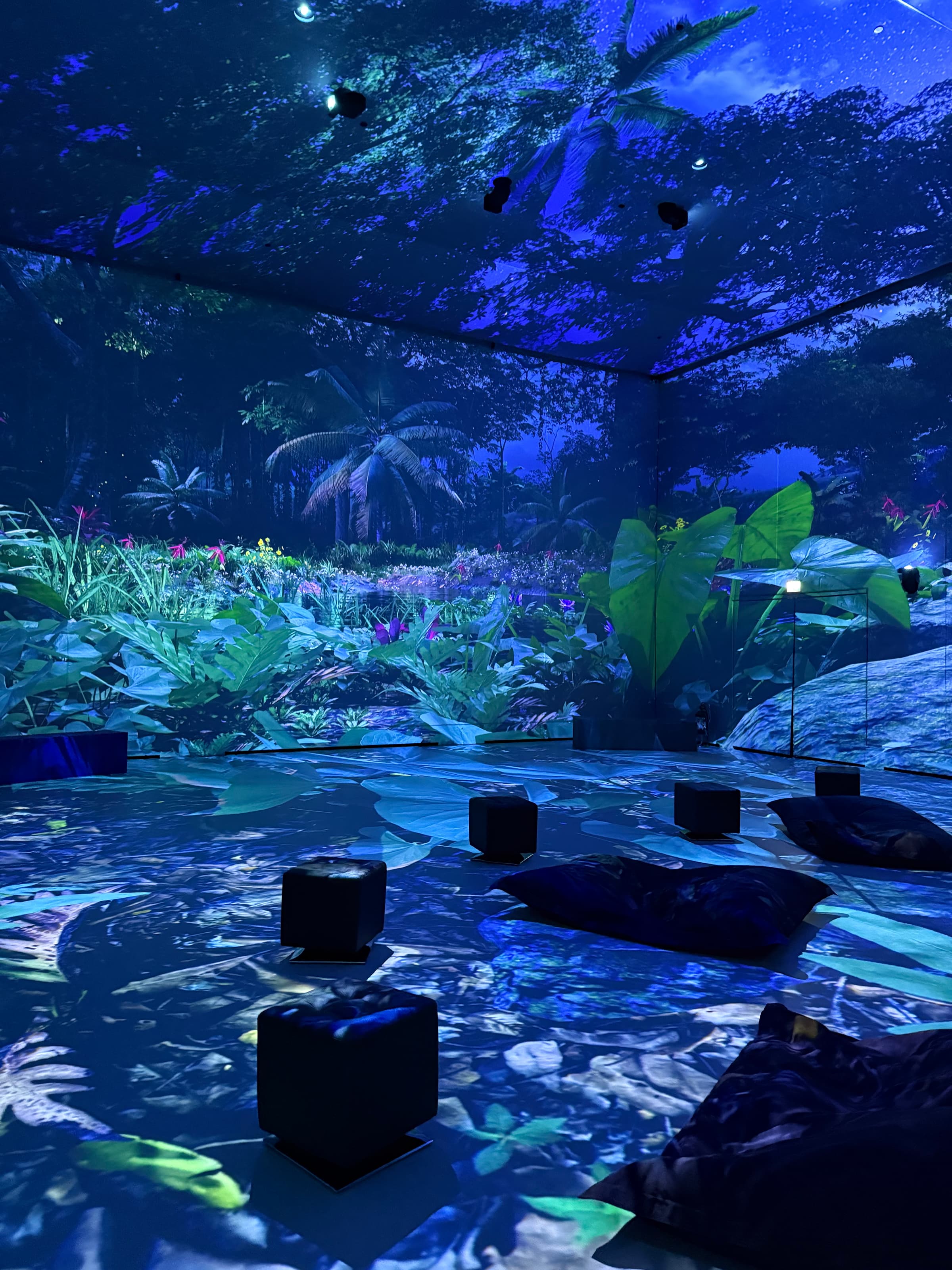 GIOLABS, an immersive digital art museum in Luxembourg - 5