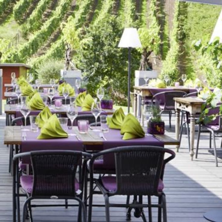 Hôtel-Restaurant de l'Écluse: view over the vineyards and the Moselle - 1