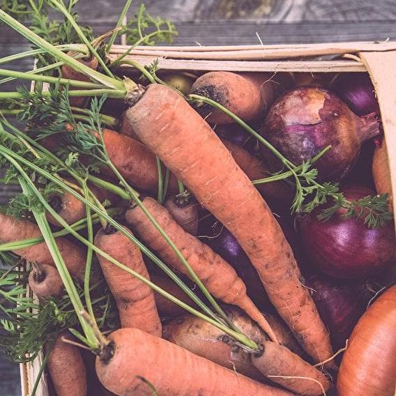 At the farm everything is fresh