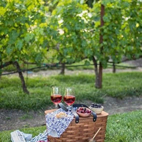 The multi-activity picnic