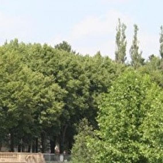 A spiritual retreat at the park