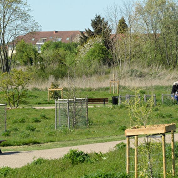Partir à la découverte des plantes !