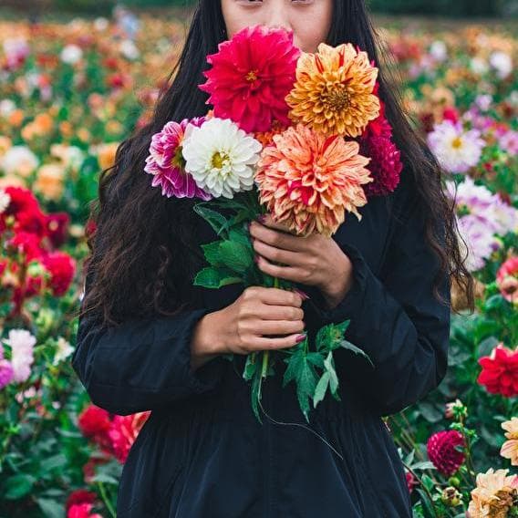 Festive flowers