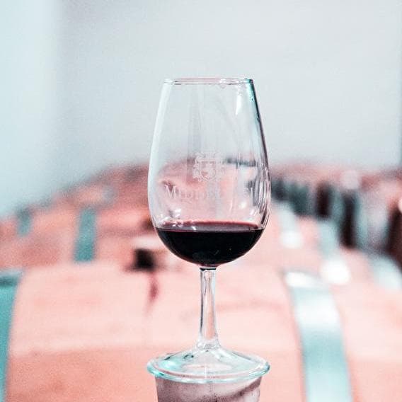 Le vin qui te convient !