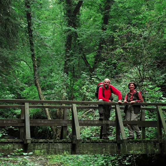 National trail "Mamer Valley"