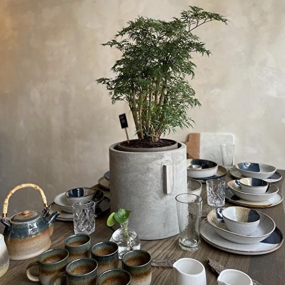 A coffee in the jungle