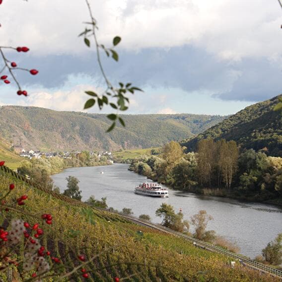 The Moselle path
