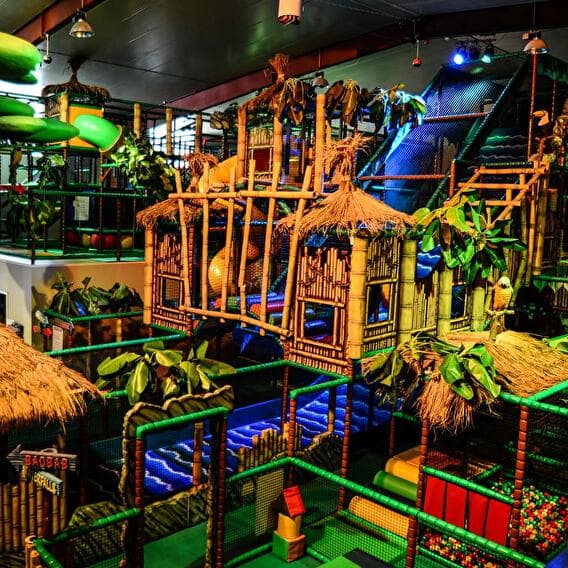 Venture into the jungle!