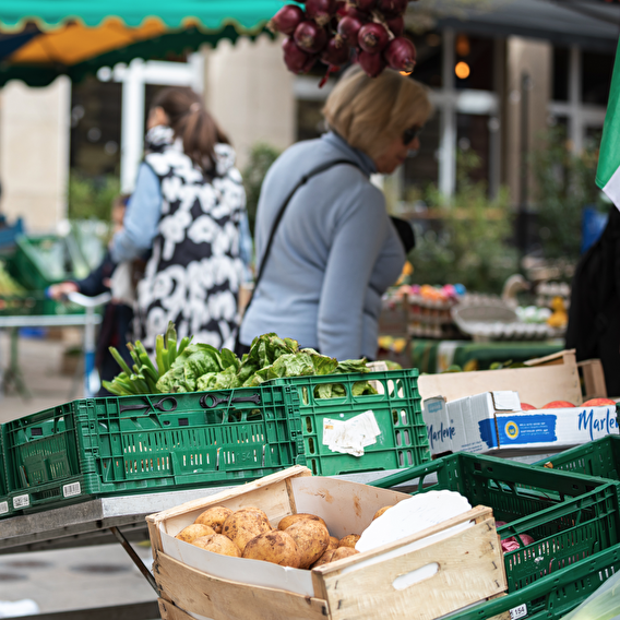 Déménagement marché du centre