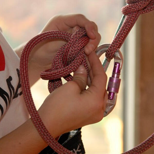 Cours d'escalade Mini Koala - aventure et plaisir pour les enfants de 6-8 ans