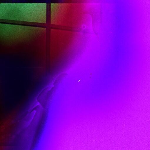 CeCiL's Box par Suzan Noesen