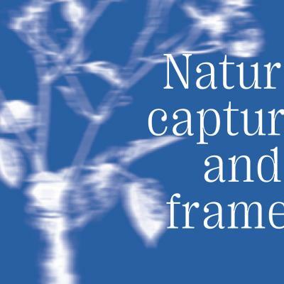 Nature, capturée et encadrée