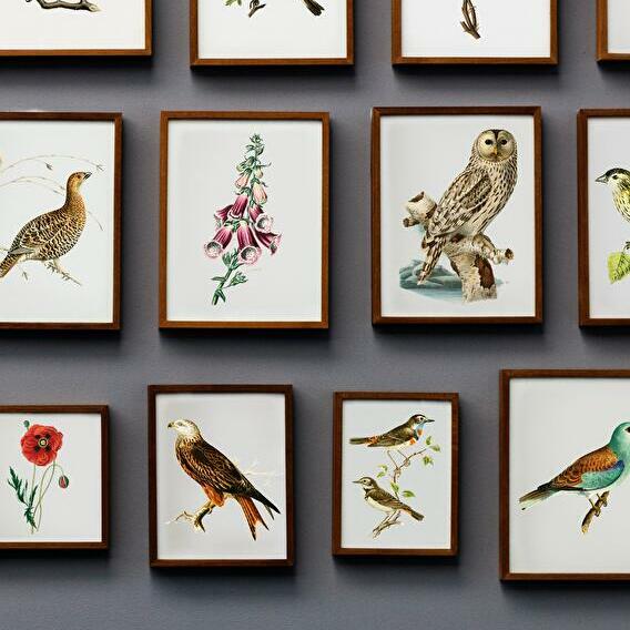 Des formules heureuses