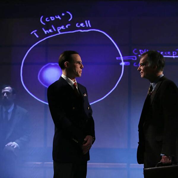 The Elegance of the Molecule