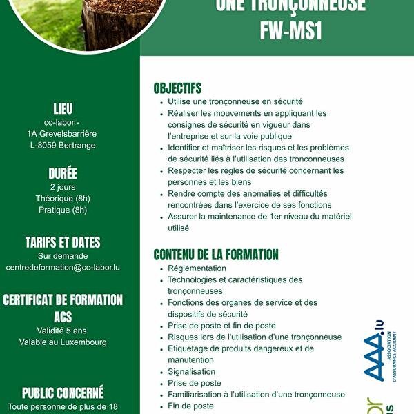 Travailler en sécurité avec une tronçonneuse