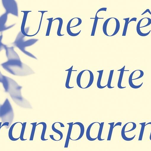 Une forêt toute en transparence