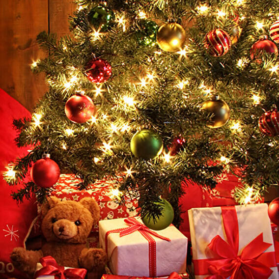 Concours Sapins de Noël