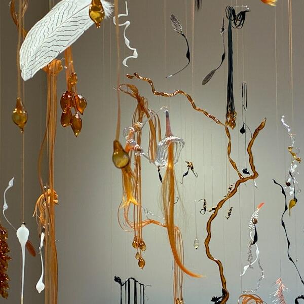 Julie Krakowski, Sans-titre