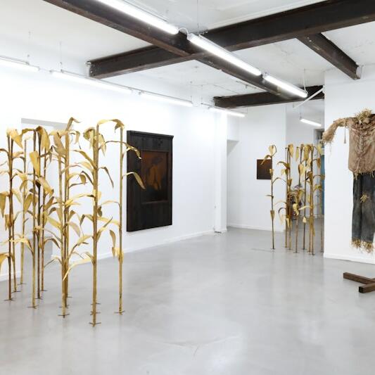 Corentin Darré, Chagrin