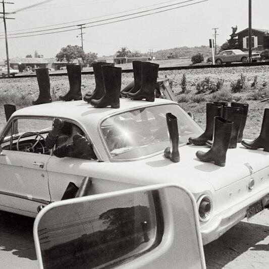 Eleanor Antin, Une Rétrospective