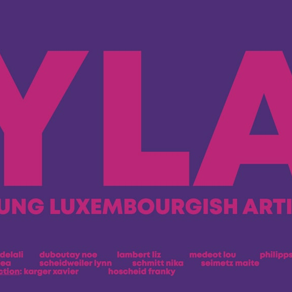 YLA Vol.5