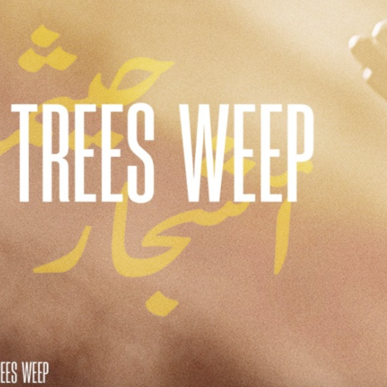 Là où pleurent les oliviers - ciné