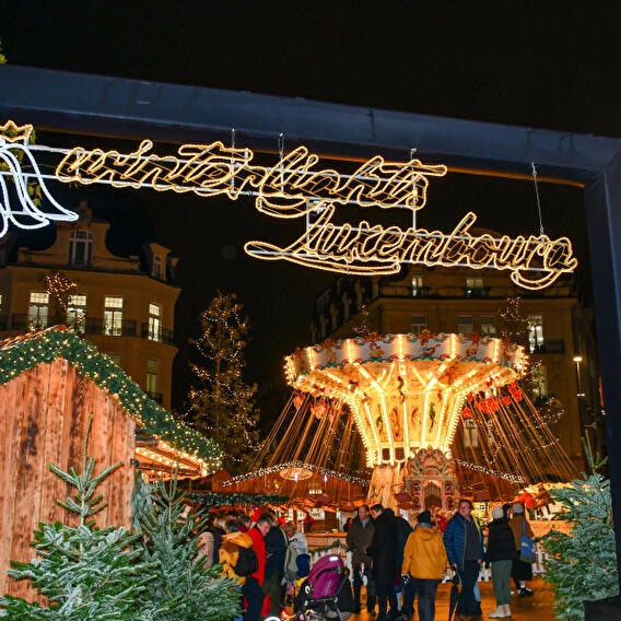 Winterlights by Night - Visite guidée