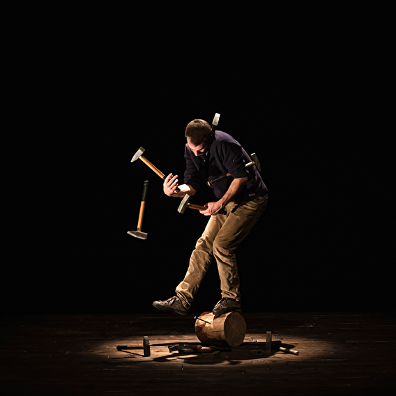 Cirque - Sawdust Symphony