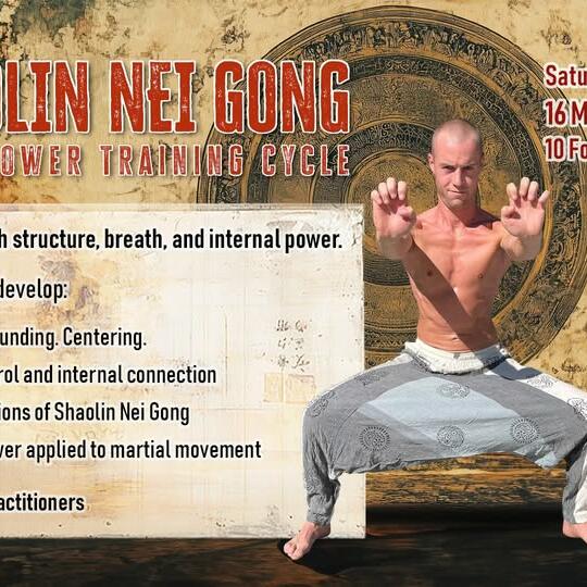 Shaolin Nei Gong - Entraînement de la puissance intérieure