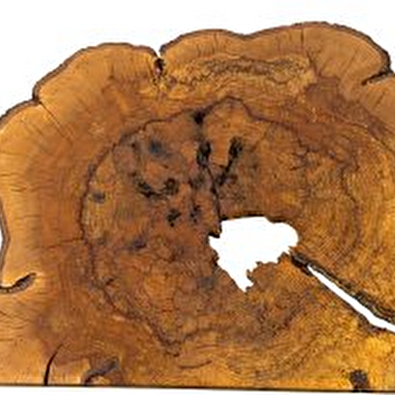 Workshop créatif pour familles « Bois, couleurs & créativité ! » - Luxembourg Museum Days 2026